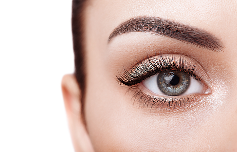 Lashes & Brows