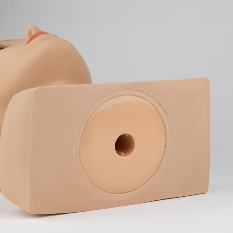 Κούκλα Εκπαιδευτική Φυσική Τρίχα Καστανό #8 240γρ 60εκ Μάκρος