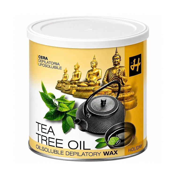 Holiday Enthaarungswachs Teebaumol – Dose 800ml