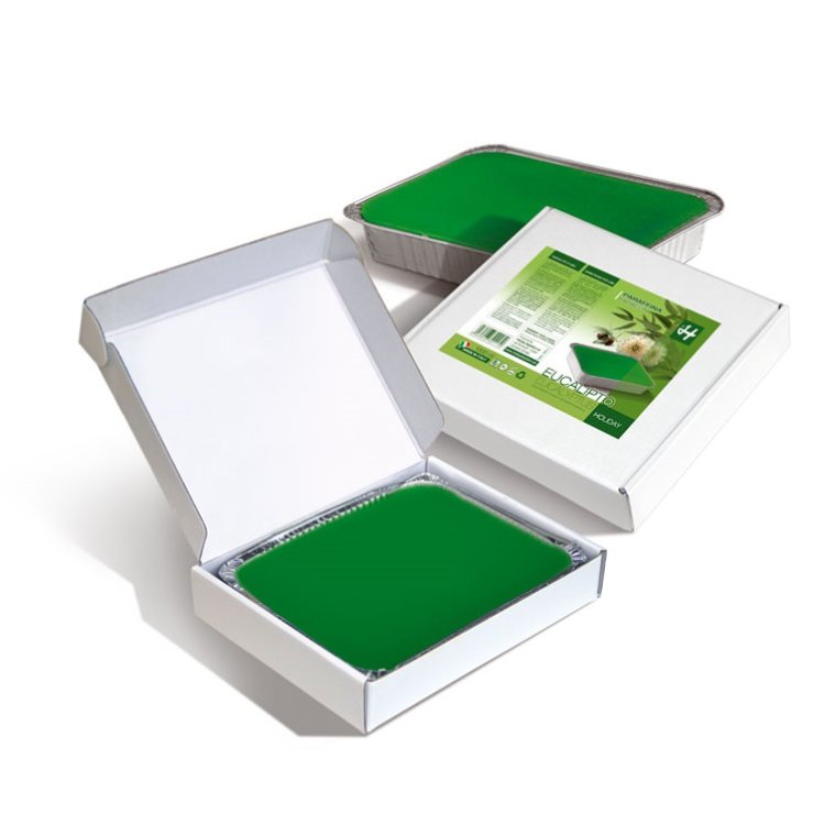 Paraffinwachs mit Eukalyptus Duft, 1000g