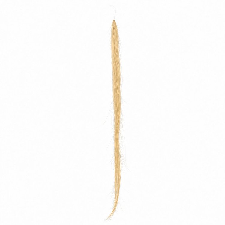 Feather Haarverlangerungen Echthaar #24 Blond 50cm 10Stk