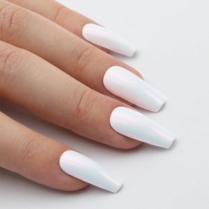Nail Art Unicorn powder 1g