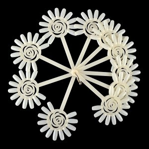 Nail Art Color Display Wheel Natural 12 Tips 10pcs