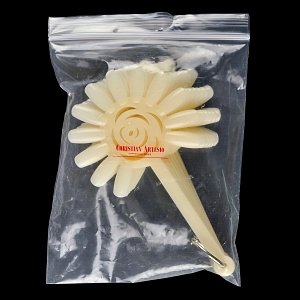 Nail Art Color Display Wheel Natural 12 Tips 10pcs