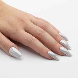 Nail Art Holographic Powder Silver 1g