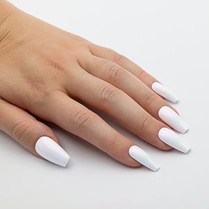 Nail Art Unicorn powder 1g