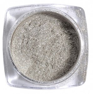 Nail Art Silver Mirror Powder 2g