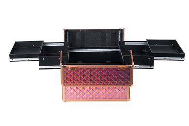 Hologaphic Professional Aluminum Beautycase