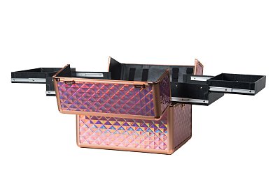 Hologaphic Professional Aluminum Beautycase
