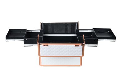 Professional Rose Gold Aluminum Beautycase