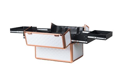 Professional Rose Gold Aluminum Beautycase