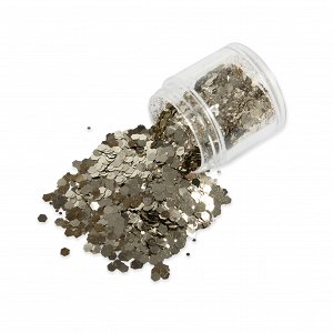 Nail Art Silver/Gold Glitter Powder 10g