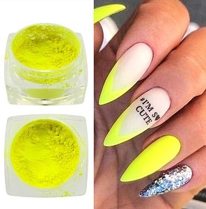 Nail Art Neon UV Pigment Powder Set 13pcs