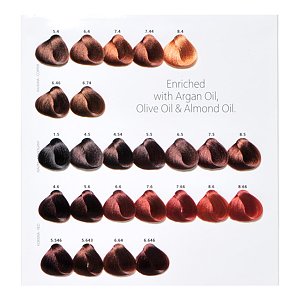 Christian Artesio Hair Color Creams Chart