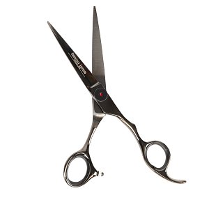 Professional Hair Scissors 5.5"