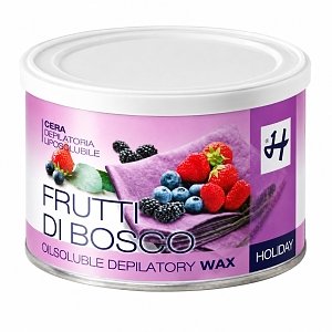 Depilatory Wax forest Fruits Container 400ml