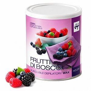 Depilatory Wax forest Fruits Container 800ml