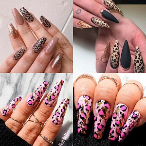 Nagelofolien Box Animal Print
